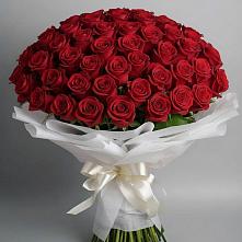 Букет 101 Красная роза Блэк Мэджик в Любани