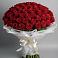 Букет 101 Красная роза Блэк Мэджик в Любани