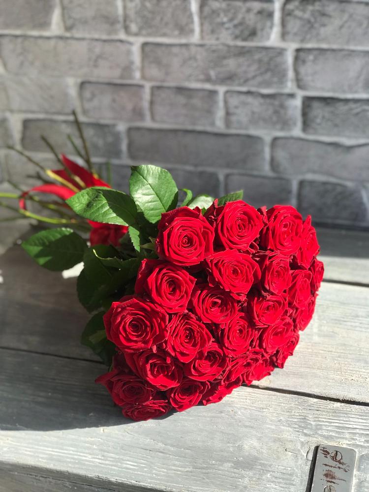 Букет Красные розы Фридом в Любани