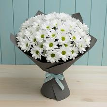 Букет цветов из:  Хризантемы #REPLACE_PRED# Любани