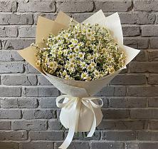 Букет цветов из:  Ромашки #REPLACE_PRED# Любани
