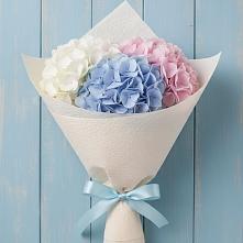 Букет цветов из:  Гортензия в Любани